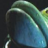 Frogsbreath