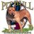 PITBULL